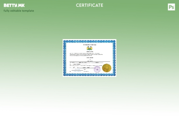 Модерен стил на Сиера Леоне, шаблон за шаблон Word и PDF 1